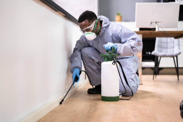 Emergency Pest Control Services in Eau Claire, WI